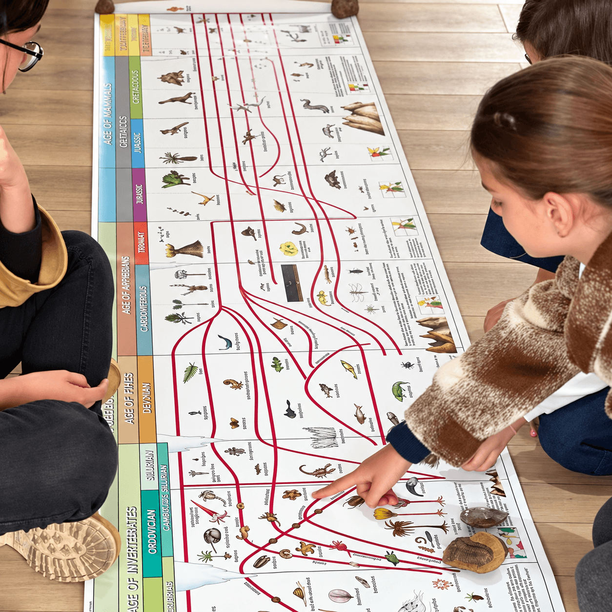 Learners exploring a timeline of life laid out on the classroom floor